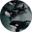 un-human-beings