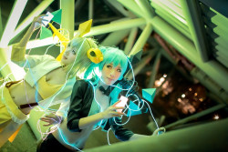 cosplayeverywhere:  Vocaloid [v]