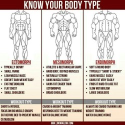 thesilverhammer:  sverdactual:  TIL im an endomorph  Same buddy