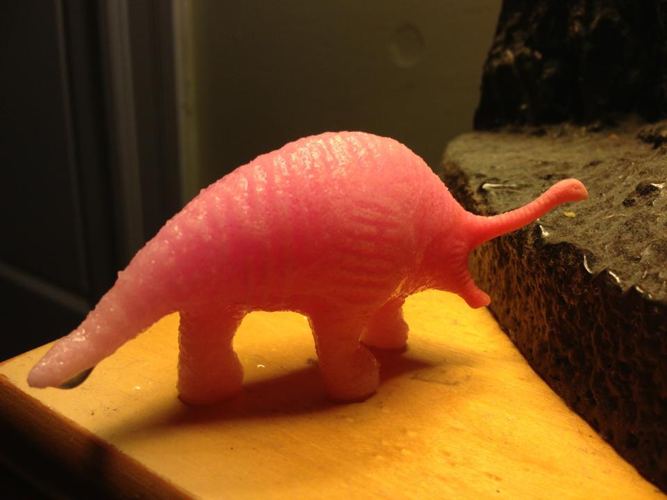 stunningpicture:  Partially submerged grow animals — one of my funnier accidents.