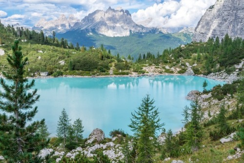 expressions-of-nature:Veneto, Italia by Giammarco Boscaro