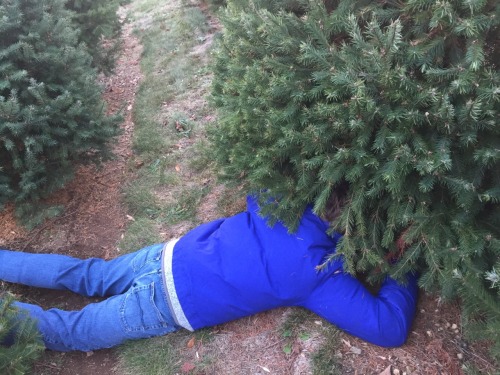 alrightanakin:  Holiday Tips: if you’re going to cut down a tree make sure you have a 16 year old who’s willing to do all the work
