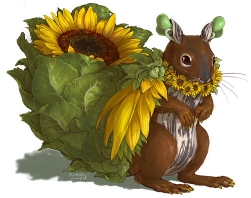 iguanamouth: a sunflower squirrel commission for ashley - THEY DIDNT know the kind of plant they wanted to be tossed together at first, so heres the rest of the UNPICKED DESIGNS plus the first sketch ………………. !   must chase!!!! > n<