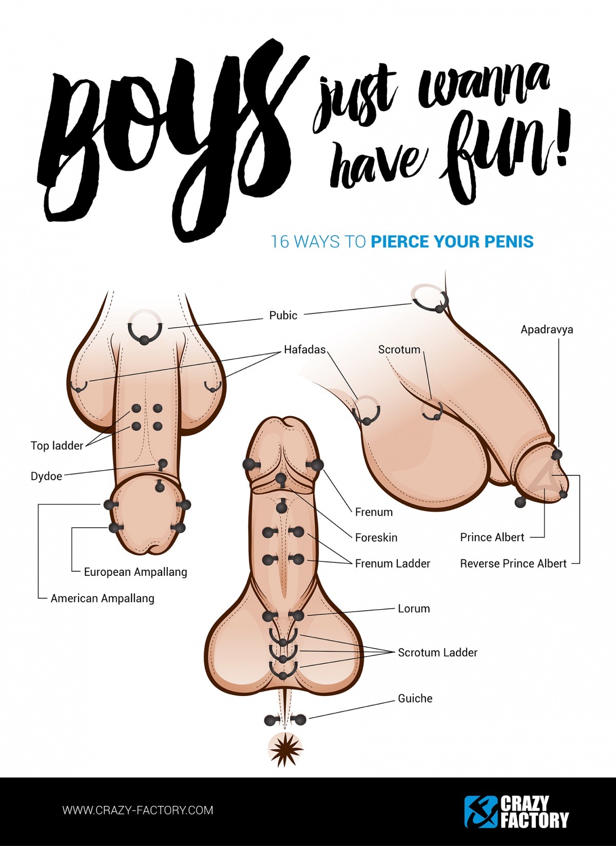 Genital Piercings Tumblr Genital Piercings Tumblr