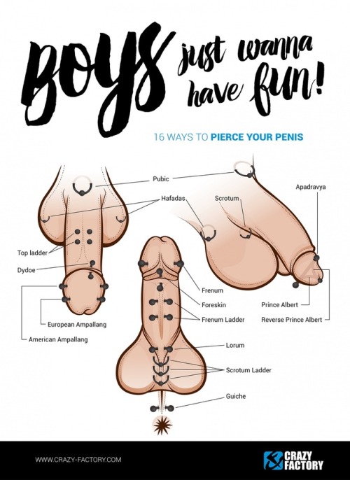 allthepiercingsandbodymods:Good infographic on all the different types of Penis Piercings available.