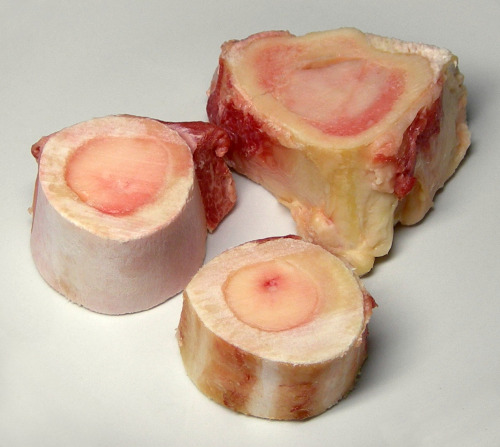 maria-aegyptiaca: marrow bones