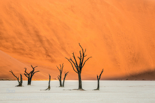 connor-burrows:Deadvlei family by BenMcRae