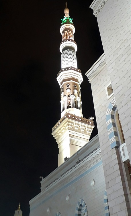 fromafricatoarabia: المدينة المنورة