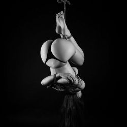 Art of Shibari