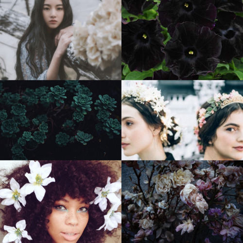 wingedwolves:  floral wreathed girls  