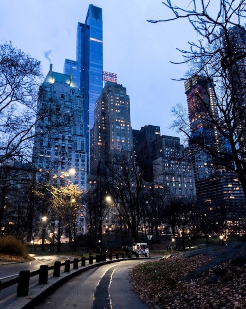 kobeissi25: Central Park Views | New York City