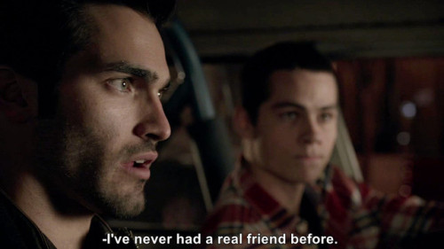 sterek