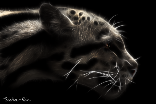 lohrien:  Illustrations by siora-rin