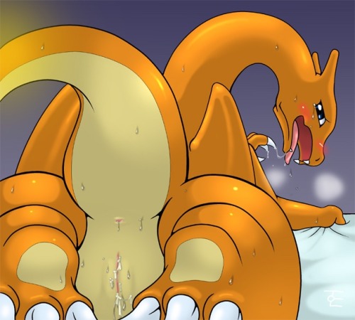 Female charizard by request