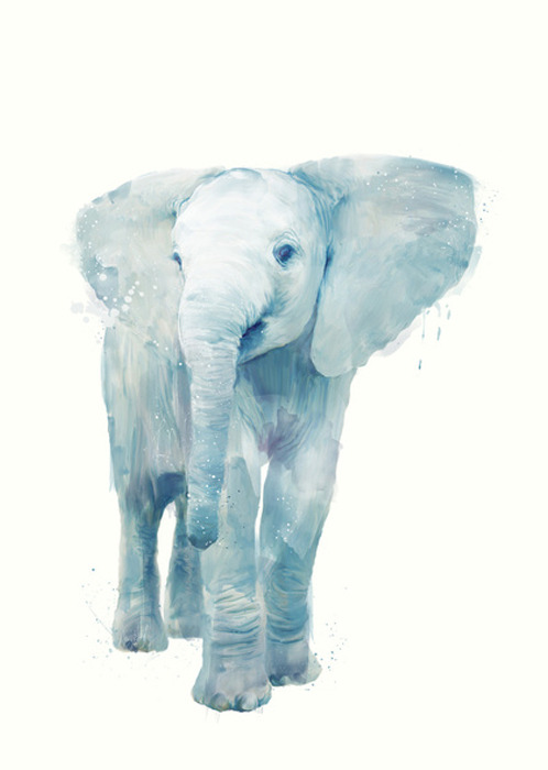 septagonstudios:  Amy Hamilton ELEPHANT