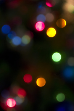 hitrecord:  “Christmas Lights Bokeh”