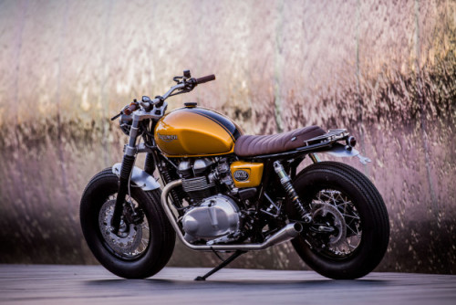 XXX caferacerpasion:  Triumph Brat Style by Down photo