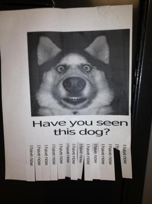 Funny Ass Stuff