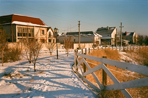 Sunny Winter Days Captured On Film
