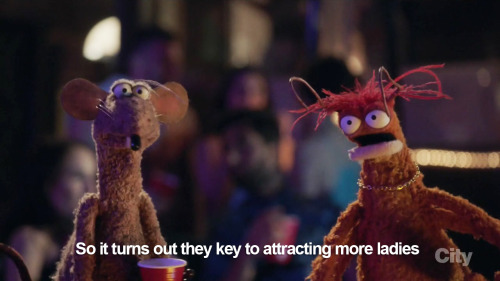 XXX sandandglass:  The Muppets s01e12 photo