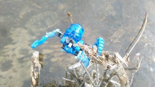 bennyplasticworld: Toa Mata field photos.