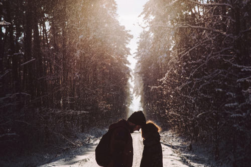 wild-nirvana:  melodyandviolence:    Winter forest by  *Nishe    x 