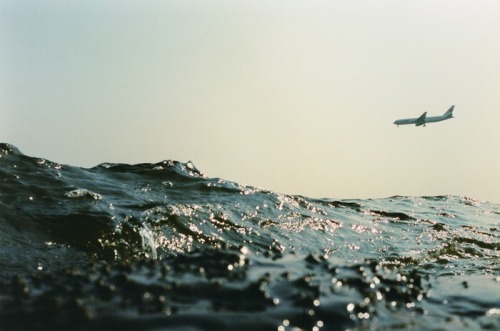 peterboyden:Asako Narahashi -“Half Awake, Half Asleep in the Water”2008