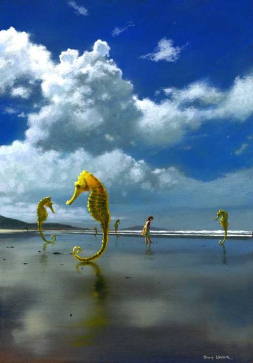 Seahorses by Jimmy Lawlor