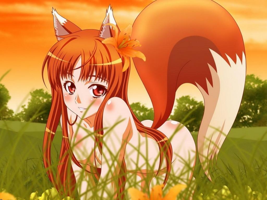 cute-ecchi:  Per request by Anon for “fox type ladies”.If you also have a request,