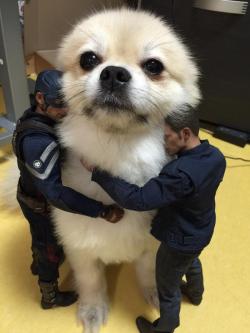 Whackedup:spookyjupiter:mcdoofus  I Thought It Was A Giant Ass Dog For A Second.