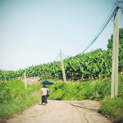 uncommoncaribbean:To walk is a blessing. #latergram #instacaribbean #martinique