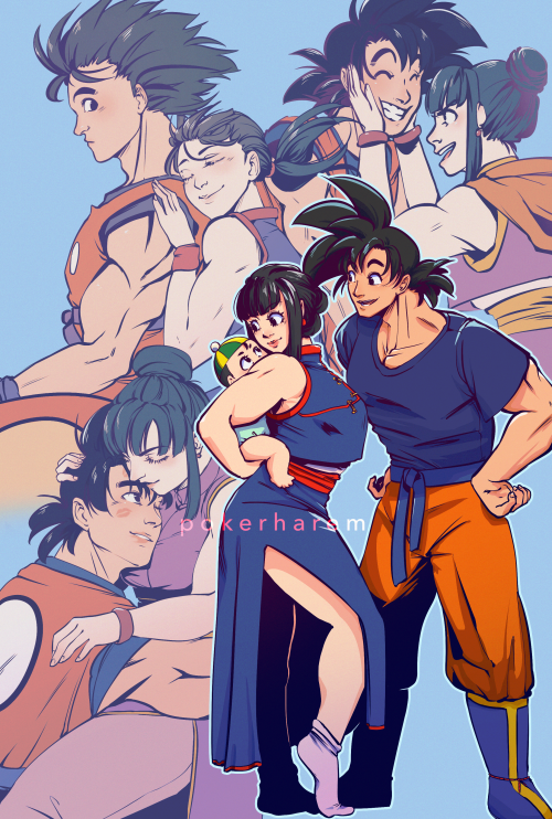 pokerharem: I like them (Goku and Chichi)