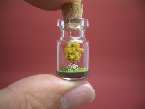 ladyremington:  agirlnamedmomo:  sosuperawesome:  tinyworldinabottle  OH. MY. GOD.   Can we get these for our house babe?