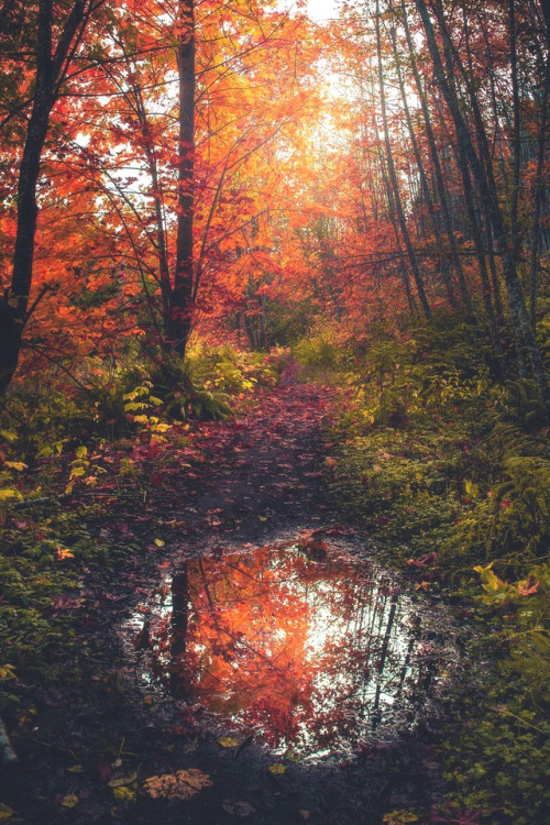 lsleofskye: "Autumn Reflections"  | calibreus