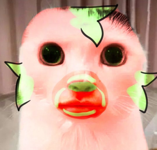Tumblr media