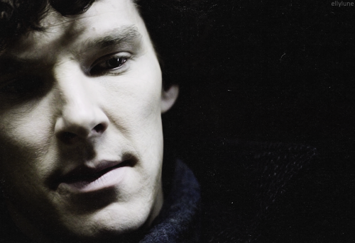 estherlune:You didn’t expect that, did you, Mr Holmes?