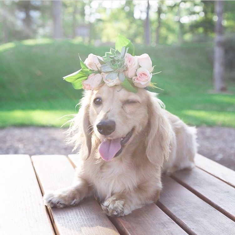 friendly-animals:  (Source)