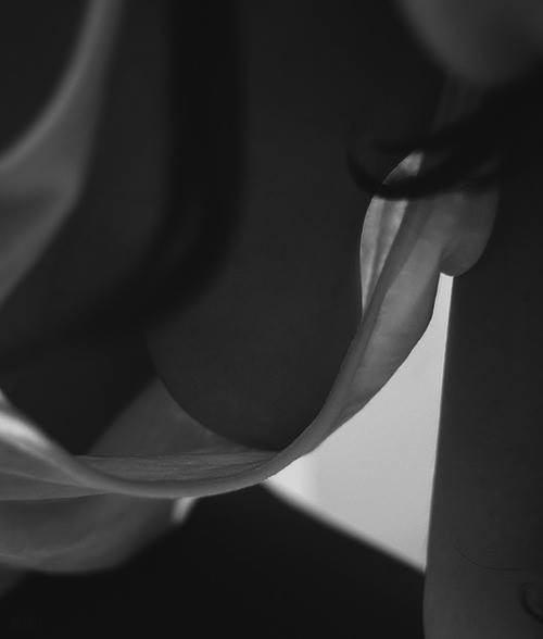 Beauty body