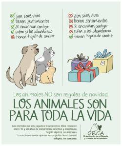 conciencia-animal:      Encuentranos en: Facebook: http://on.fb.me/1bQmkUL Twitter: https://twitter.com/infoanimalchile   