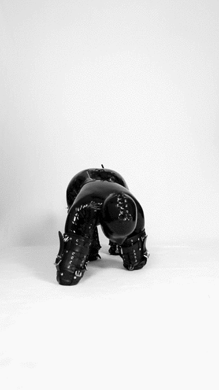 torturesadist:object, this will be its only form of movement. Get used to it. Limbs will be made use