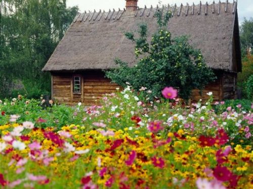 woodencottage: countryside  ❣️