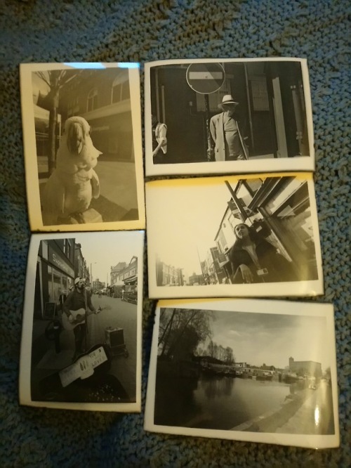 caffenol prints from caffenol negs my scanner is broken now and i have had to learn how to use a dar