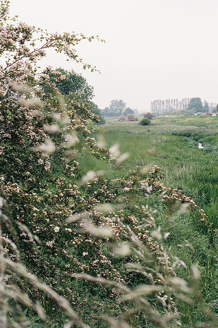 4pologetic:  untitled by antipodeuse on Flickr.