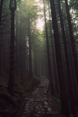 captivesouls:Nature