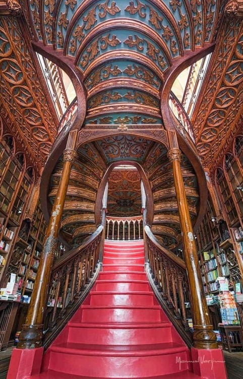 (via 110 year old library in Porto Portugal : archeologyworld)