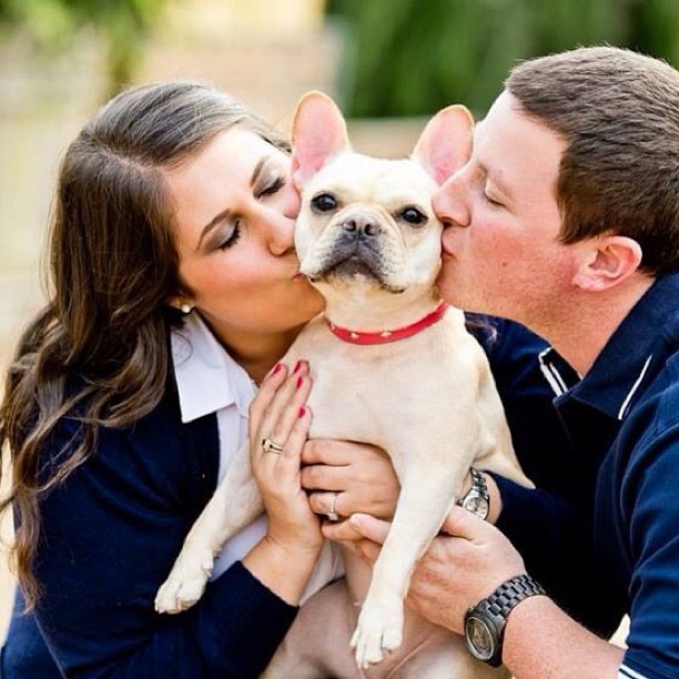 #frenchie #engagementpictures #mylove