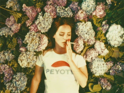 caramelpussy:  Lana Del Rey, “Ultraviolence”, adult photos