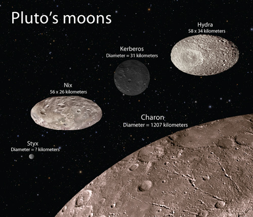2015 June 13Pluto&rsquo;s MoonsExplanation: This artist&rsquo;s illustration shows the scale