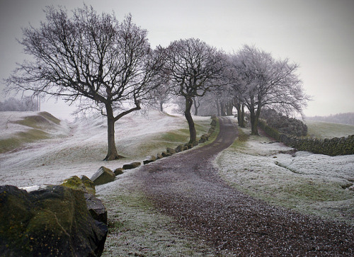 archaicwonder:Antonine Wall at Rough Castle Roman Fort, near Bonnybridge, Falkirk, ScotlandThe Anton