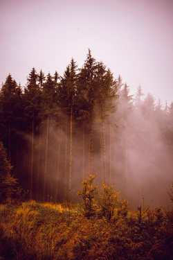 virtuallyinsane-autumn:Petra Kopásková